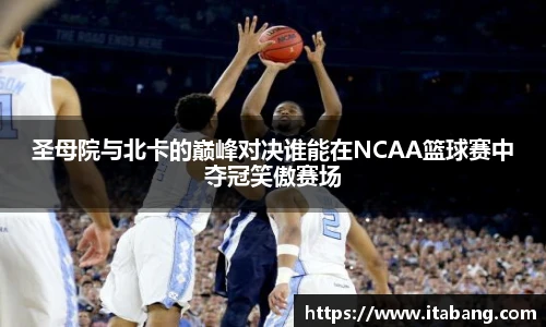 哈哈体育