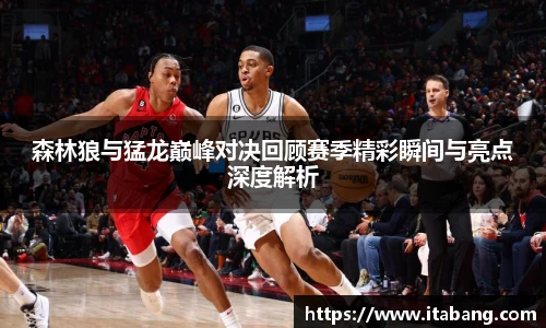 哈哈体育森林狼与猛龙巅峰对决回顾赛季精彩瞬间与亮点深度解析